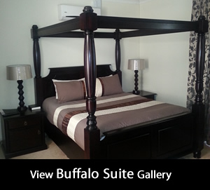 Buffalo Suite gallery at Montana Guesthouse