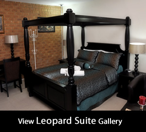 Leopard Suite gallery at Montana Guesthouse